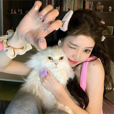 猫之茗