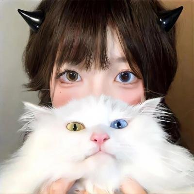 银狐传说